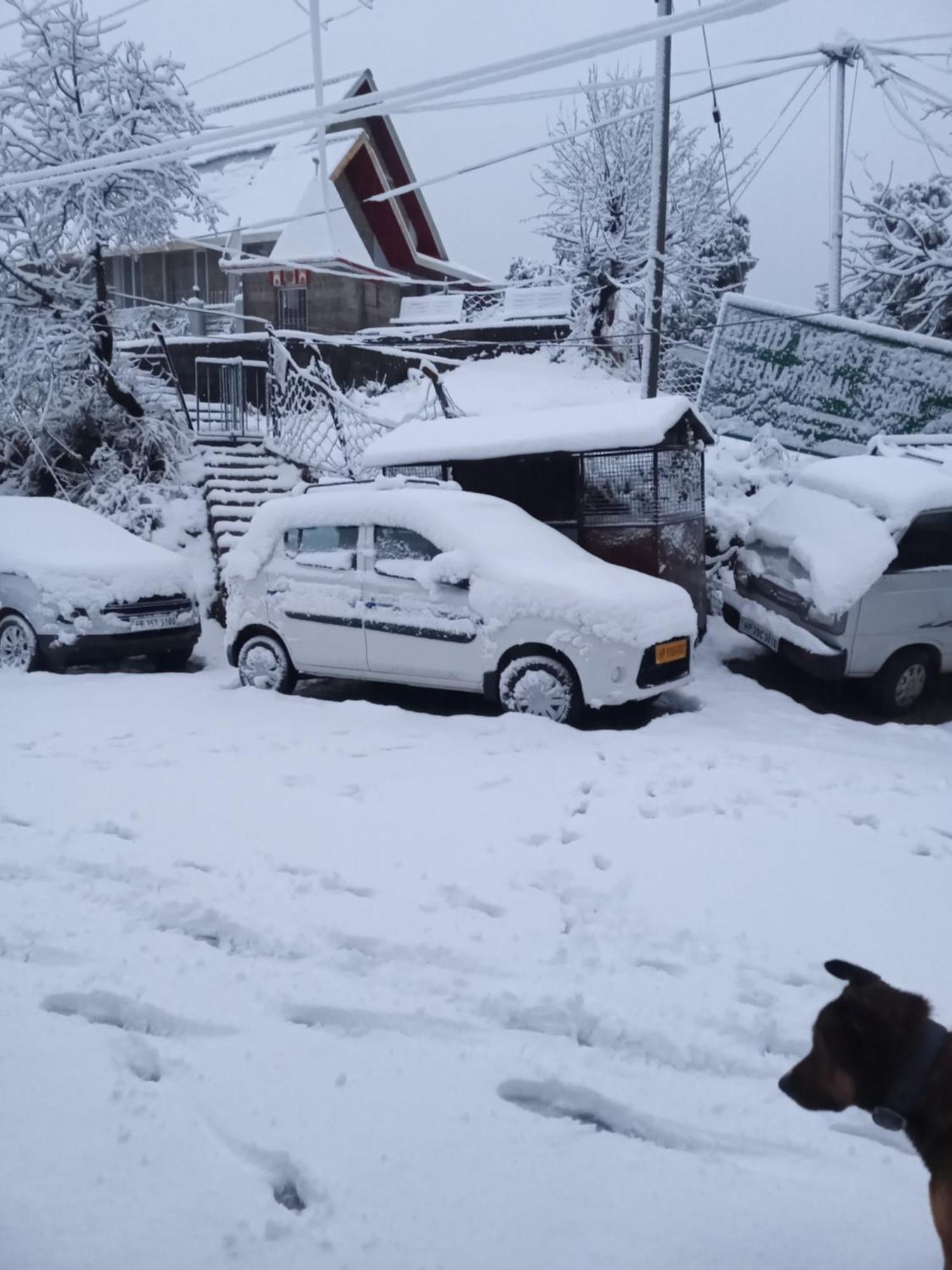 Nirmal Homestay Dharamszala Kültér fotó